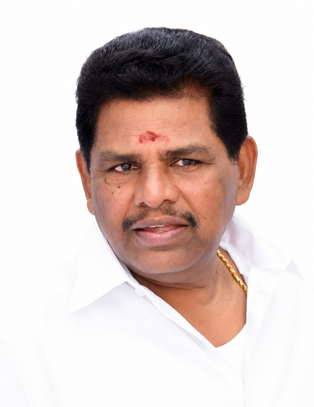 Anitha R. Radhakrishnan, MLA for Tiruchendur