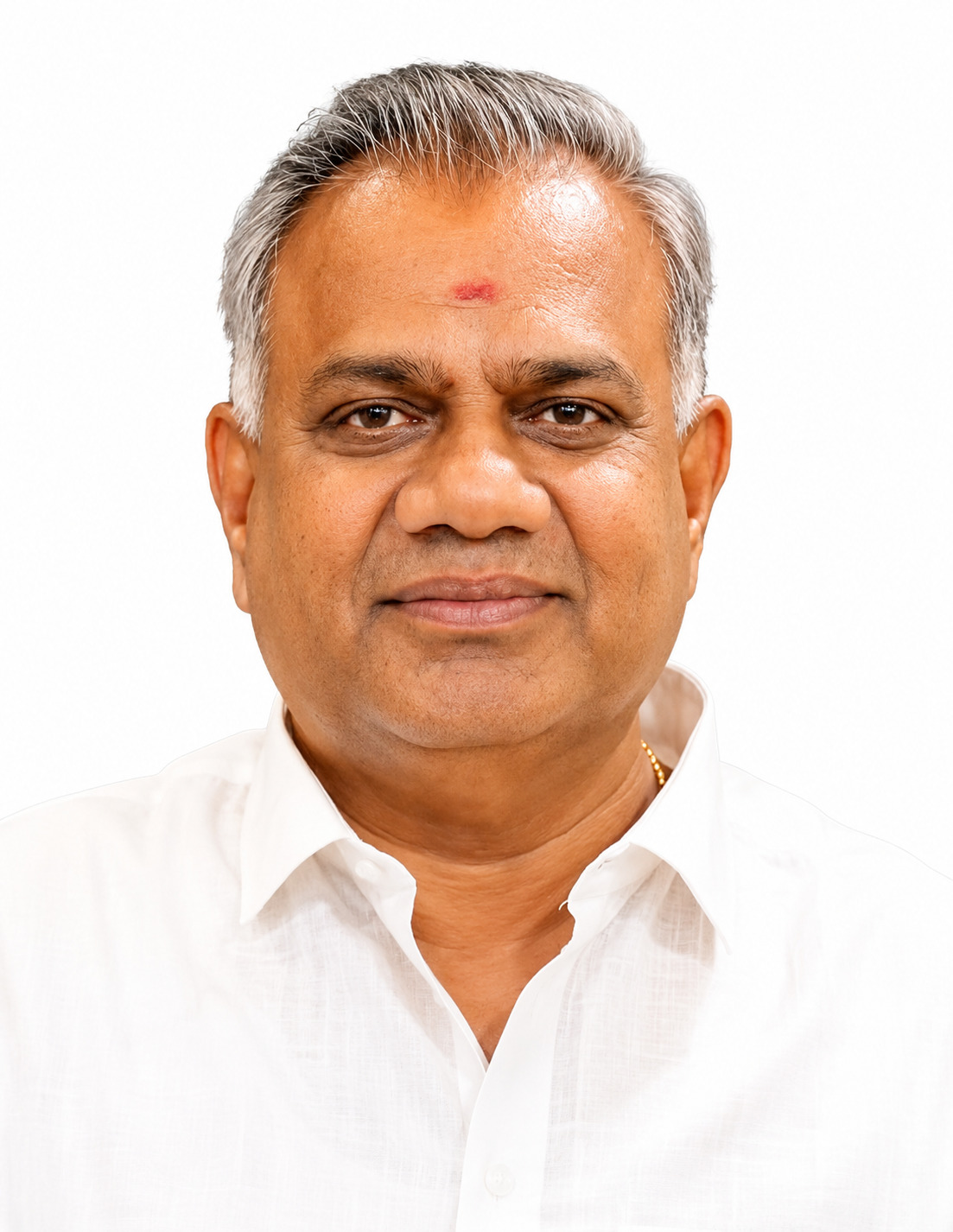 Anand N, MLA for Thiyagarayanagar